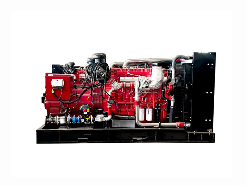 Gas Generator Set