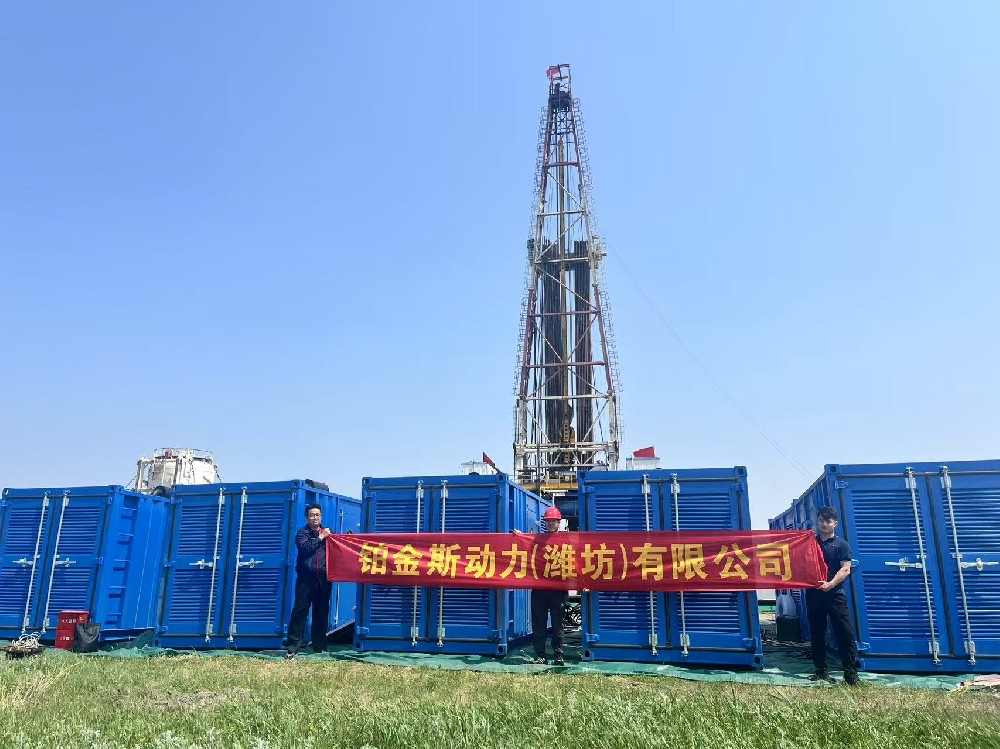 Daqing Oilfield 3000KW methanol generator set project completed delivery