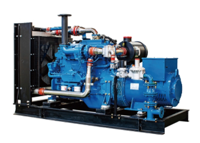 BJS POWER Series LPG Generator Set