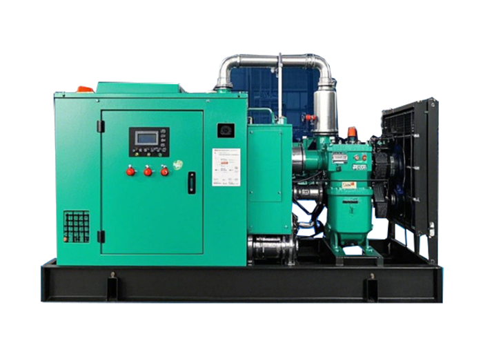 BJS POWER Series 200KW Biogas Generator Set