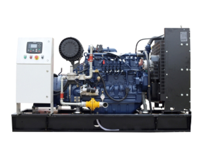 BJS POWER Series Biogas Generator Set